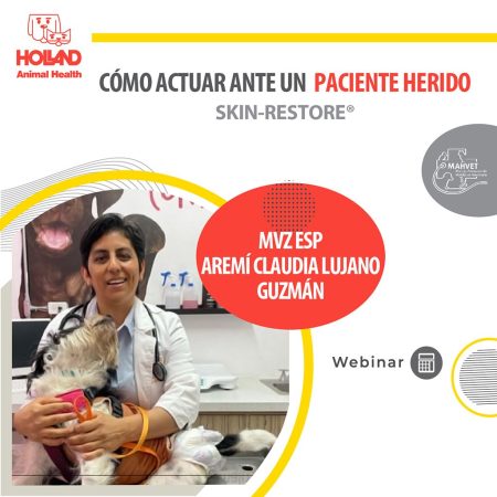 Cómo actuar ante un paciente herido