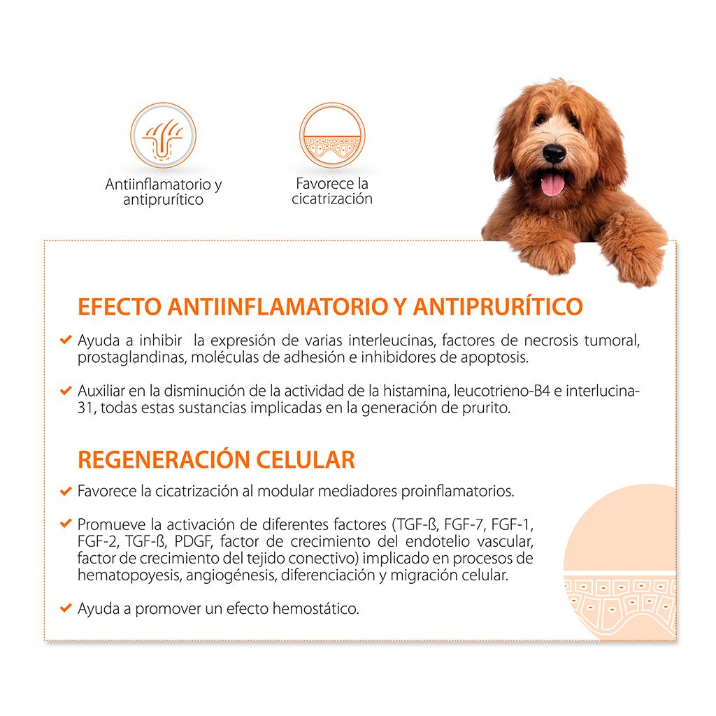 Cómo actuar ante un paciente herido - Image 4